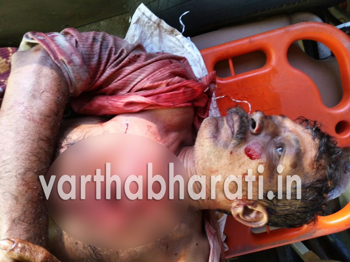 ಕೋಣ ತಿವಿದು ವ್ಯಕ್ತಿ ಸಾವು; ತಿವಿದಿದ್ದು ಕಾಡುಕೋಣ ಎಂಬ ವದಂತಿ